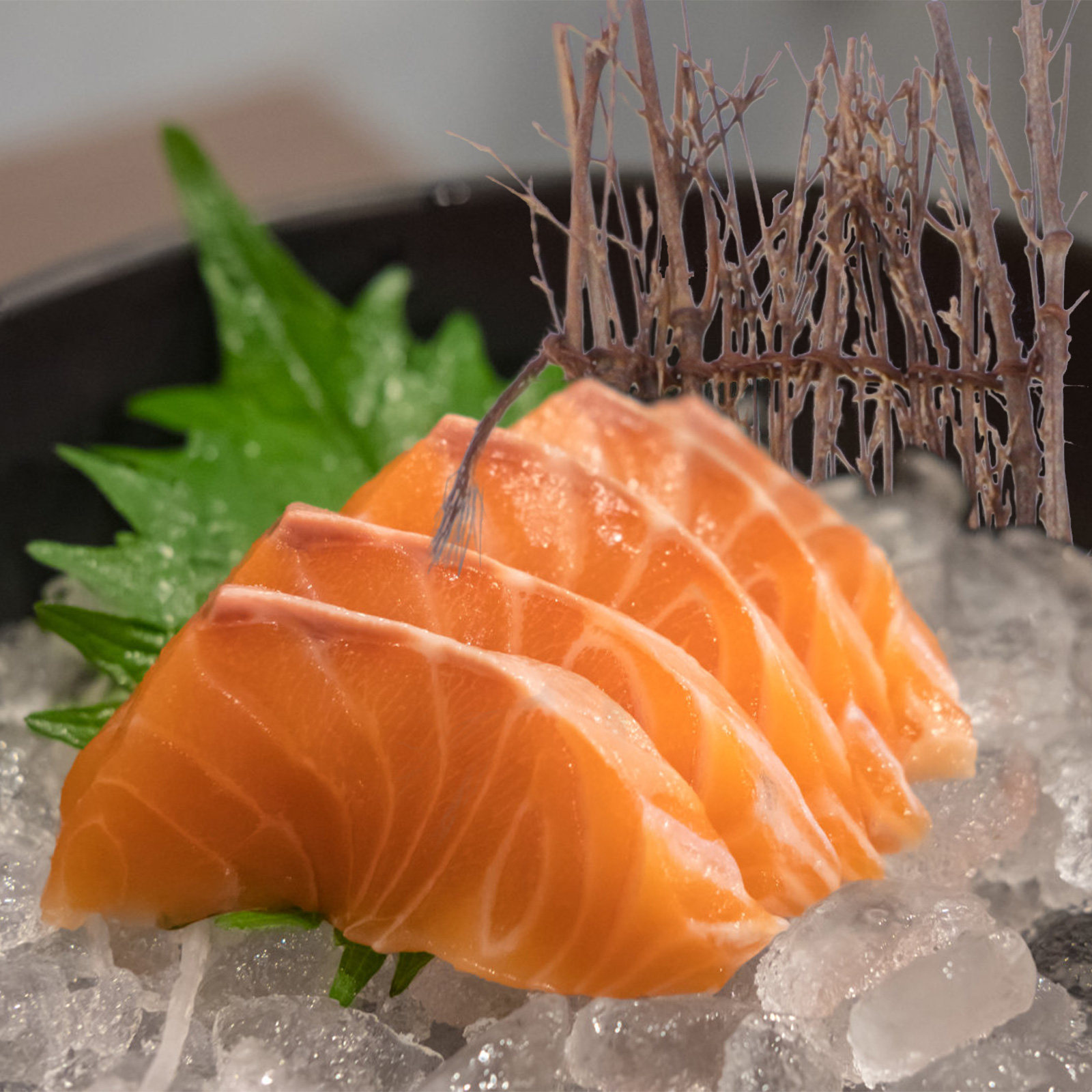 6 stuks bamboe-matten voor hek - Sushi Mat Bamboo recensie en prijs